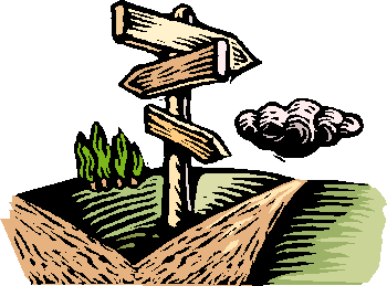 Next Step