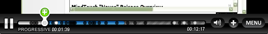 Video Timeline