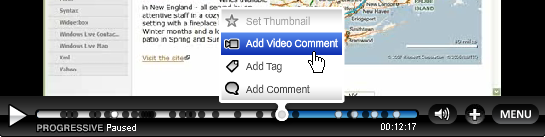 Timeline Annotation Interface