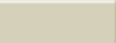 A background image for the right part of the tab.