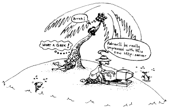 cartoon depicting a geek using a computer on a desert island
