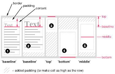 Example of vertically
aligning the cells