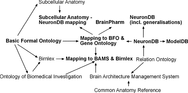 Ontology import hierarchy
