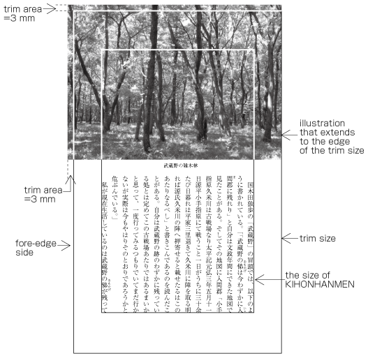 Figure A1-8 Example of bleeds