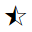 STAR WITH LEFT HALF BLACK
