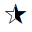 STAR WITH RIGHT HALF BLACK