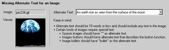 Screenshot of the A-prompt missing alt text dialog