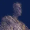 Tim van Scherpenzeel's profile picture