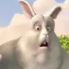 Michael Holladay's profile picture