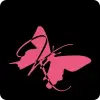 Koen Bollen's profile picture