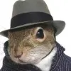 ALAN CEZAR ARAUJO SILVA's profile picture