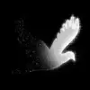Damis Ojet's profile picture
