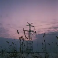 nightpool .'s profile picture